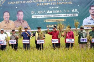 Bupati Banyuasin Panen Padi dan Inspektur Jenderal Kementerian Pertanian RI