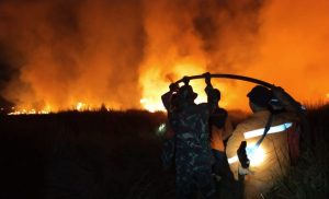 Gerak Cepat Tim Gabungan BPBD Banyuasin Berhasil Padamkan Kebakaran Lahan di Jakabaring