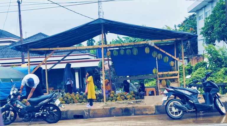 Menjelang Nataru Buah Duren Mulai Membanjiri Kota Pangkalan Balai Banyuasin