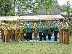 Pj Ketua TP PKK Optimalkan Hasil Panen Sayur Hidroponik Di Kebun PKK