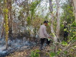 Personel Polsubsektor Rambang Kuang Dibantu Kepala Desa dan Warga Berhasil Padamkan Api di lahan Gambut