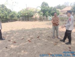 Untuk Mendukung Program Ketahanan Pangan, Kapolsek Muara Kuang Bersama Kepala Desa Dan Anggota Cek Lahan Untuk Penanaman Jagung