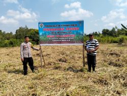Bhabinkamtibmas Polsek Indralaya Lakukan Pengecekan Tanaman Jagung Di Lahan Produktif