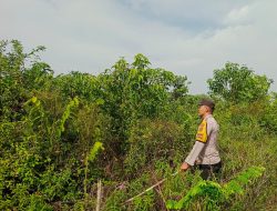 Cegah Kebakaran Hutan dan Lahan, Bhabinkamtibmas Polsek Muara Kuang Laksanakan Patroli Titik Rawan Karhutla‎