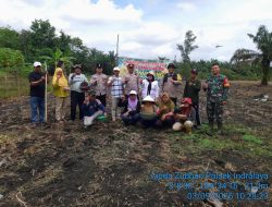 Polsek Indralaya Laksanakan Penanaman Jagung Program Ketahanan Pangan Nasional Di Desa  Pulau Kabal