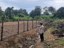 Dukung Program Asta Cita di Desa,Kanit Binmas Bersama Bhabinkamtibmas Polsek Muara Kuang Cek Lahan Jagung
