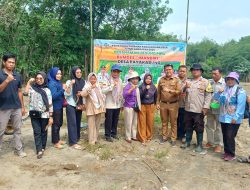 Dukung Ketahanan Pangan Bhabinkamtibmas dan Babinsa Bersinergi Panen Jagung Bersama Petani