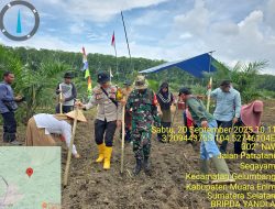 BHABINKAMTIBMAS POLSEK INDRALAYA DAMPINGI KELOMPOK TANI DALAM PENGELOLAAN TANAM JAGUNG UNTUK PROGRAM DUKUNG KETAHANAN PANGAN       