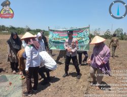 Kanit Binmas Polsek Indralaya Hadiri Penanaman Jagung, Wujud Dukungan Polri untuk Ketahanan Pangan Nasional Di Desa  Lorok