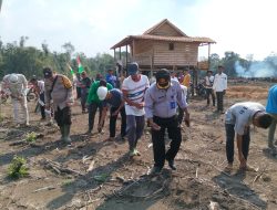 Polsek Muara Kuang Dukung Ketahanan Pangan, Tanam Jagung di Desa Beringin Dalam