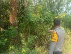 Bhabinkamtibmas polsek Muara Kuang aktif cegah karhutla: lakukan patroli dan pengecekan di lahan rawan kebakaran.