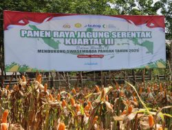 Polres Ogan Ilir Ikuti Panen Raya Jagung Serentak Kuartal III Tahun 2025