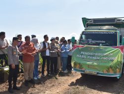 Ikut Secara Zoom Polres Muara Enim Pamerkan Panen Raya Jagung Serentak Kuartal III Ke Kapolri