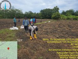 Dukung Program Peningkatan Ketahanan Pangan,Bhabinkamtibmas Hadiri Tanam  Jagung Pipil DI Desa Bakung 
