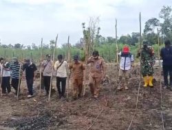 Personel Bhabinkamtibmas dan Babinsa Hadiri Penanaman Jagung Pipil di Desa Tanjung Miring 
