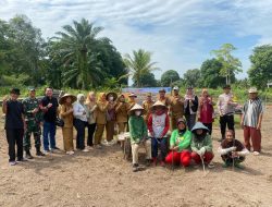 Bhabinkamtibmas Desa Ulak Banding Kawal Tanaman Jagung untuk Dukung Ketahanan Pangan