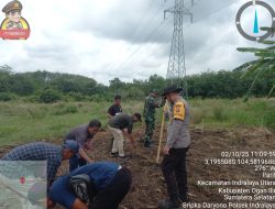 Dukung Program Ketahanan Pangan Nasional, Bhabinkamtibmas Polsek Indralaya Tanam Jagung Bersama Unsur Terkait