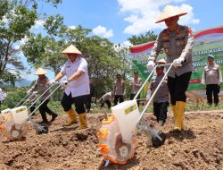 Polres Muara Enim Kembali Garap Benih Jagung Serentak Kuartal IV, Dukung Swasembada Pangan Nasional 2025