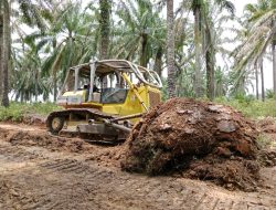 Raungan Buldozer TMMD ke-126 Muara Enim Ada Asa Desa Terpinggir Menuju Desa Membara