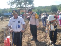 BHABINKAMTIBMAS POLSEK MUARA KUANG HADIRI KEGIATAN PENANAMAN JAGUNG DALAM RANGKA PROGRAM KETAHANAN PANGAN SUMBER DANA DESA TANGAI