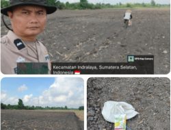 BHABINKAMTIBMAS POLSEK INDRALAYA HADIRI KEGIATAN PENANAMAN JAGUNG DALAM RANGKA PROGRAM KETAHANAN PANGAN DESA TANJUNG SETEKO