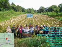 Kanit Binmas Polsek Indralaya Menghadiri Panen Jagung Di Desa Sukaraja baru