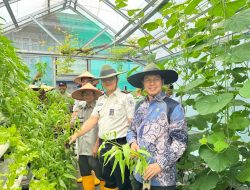 Lapas Muara Enim Berhasil Wujudkan Ketahanan Pangan, Penen Puluhan Kilo Sayuran