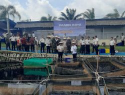Panen 1 Ton, Lapas Kelas IIA Banyuasin Sukses Budidaya Ikan Lele