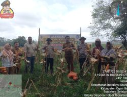Kapolsek Indralaya Hadiri Panen Raya Jagung Serentak 2026 Dukung Program Ketahanan Pangan Nasional Di Desa Lorok