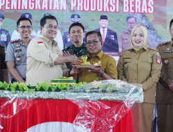 Banyuasin Bisa Jadi Lumbung Pangan Nomor 1 Nasional, Sarip. SP Terus Pantau Kebutuhan Petani