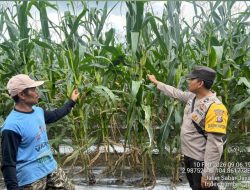 *Bhabinkamtibmas Polsek Mariana Ajak Warga Desa Duren Ijo Perkuat Ketahanan Pangan Melalui Program P2B*