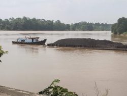 Diduga Tidak Mengantongi Izin Tongkang Batu Bara Milik PT Batu Bara Mandiri Bebas Beraktivitas 