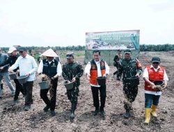 ‎Dukung Ketahanan Pangan, Tanam Padi Serentak Digelar di Lahan Cetak Sawah Rakyat Banyuasin 2025