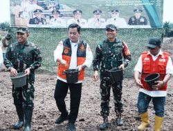 Lahan Cetak Sawah Rakyat Banyuasin Mulai di Tanam, Bukti Keberhasilan Sektor Pertanian di Tangan Askolani