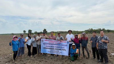 Polsek Indralaya Laksanakan Penanaman Jagung Di Desa Payakambung Program Ketahanan Pangan 