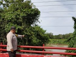 POLSEK MUARA KUANG LAKUKAN PENGECEKAN DEBIT AIR SUNGAI OGAN AKIBAT CURAH HUJAN TINGGI DAN DERASNYA ALIRAN SUNGAI, ANTISIPASI POTENSI BANJIR Ogan Ilir, hbnIndomesia.com — Personel Polsek Muara Kuang Polres Ogan Ilir melaksanakan kegiatan pengecekan volume ketinggian debit air dan arus Sungai Ogan di wilayah Kecamatan Muara Kuang, Kabupaten Ogan Ilir, Sabtu (11/04/2026) sekitar pukul 14.00 WIB. Kegiatan ini dilakukan sebagai langkah antisipasi potensi banjir menyusul tingginya curah hujan yang terjadi secara intens dalam beberapa hari terakhir.  Pengecekan dilakukan dengan memantau langsung kondisi Sungai Ogan sekaligus melakukan monitoring ke sejumlah desa yang dinilai rawan terdampak banjir. Dari hasil pemantauan di lapangan, diketahui bahwa volume ketinggian debit air Sungai Ogan mengalami peningkatan signifikan dengan arus air yang mengalir cukup deras akibat curah hujan tinggi. Meski demikian, hingga saat ini kondisi air masih berada dalam batas normal dan belum ditemukan adanya desa yang terdampak banjir.  Selain melakukan pengecekan debit air, personel Polsek Muara Kuang juga menyampaikan imbauan kamtibmas kepada masyarakat yang tinggal di sekitar bantaran sungai. Warga diingatkan untuk meningkatkan kewaspadaan, khususnya dengan tidak membiarkan anak-anak beraktivitas di sungai tanpa pengawasan orang tua. Masyarakat juga diminta agar mulai mempersiapkan sarana dan prasarana apabila sewaktu-waktu terjadi luapan air hingga ke halaman rumah maupun badan jalan.  Kapolsek Muara Kuang IPTU Rangga Saputra, S.H., M.H., menyampaikan bahwa wilayah Kecamatan Muara Kuang terdiri dari 13 desa dan 1 kelurahan yang setiap tahunnya berpotensi mengalami banjir, terutama pada permukiman yang berada di sepanjang bantaran Sungai Ogan. Namun demikian, sebagian besar rumah warga telah berbentuk rumah panggung atau bertiang tinggi sebagai upaya adaptasi terhadap kondisi tersebut.  “Dengan curah hujan yang masih cukup tinggi, tidak menutup kemungkinan debit air Sungai Ogan akan terus bertambah. Oleh karena itu, kami terus melakukan pemantauan dan menjalin koordinasi dengan stakeholder terkait guna mengantisipasi apabila terjadi banjir,” ujar IPTU Rangga Saputra.  Lebih lanjut, pihak Polsek Muara Kuang juga berkoordinasi dengan pemerintah kecamatan serta para kepala desa untuk mengajak masyarakat melakukan pembersihan sampah di aliran sungai, parit, dan saluran air. Langkah ini dilakukan untuk menjaga kelancaran aliran air dan meminimalisir potensi terjadinya banjir.  Kegiatan pengecekan debit air dan arus Sungai Ogan tersebut berjalan dengan aman dan kondusif. Polsek Muara Kuang memastikan akan terus melakukan monitoring untuk menjaga situasi Kamtibmas.Lbs.