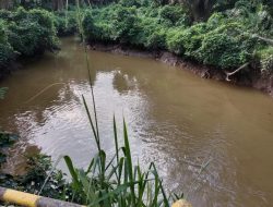 Kabar Pencemaran Sungai Berau Dibantah: Fakta di Lapangan Air Tampak Bersih