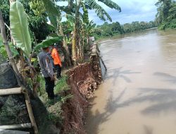 KEGIATAN PERSONIL POLSEK MUARA KUANG MELAKUKAN PENGECEKAN DINDING / TEMBOK PENAHAN EROSI TANAH SUNGAI OGAN YANG TERBIS ( LONGSOR ) DIDESA SERIKEMBANG KEC. MUARA KUANG 