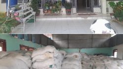 Program Cetak Sawah Anggaran Miliaran Di Ogan Ilir Terancam Mangkrak..! Ribuan Ton Pupuk Dolomid Tidak Terurus!