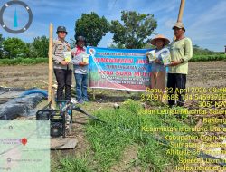 Polsek Indralaya Dukung Penanaman Jagung Pipil Program Ketahanan Pangan di Desa Sukamulya
