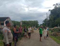 Polsek Tanjung Batu, Sigap Tangani Pohon Tumbang Timpa Kabel PLN Di Simpang Tugu Desa Burai