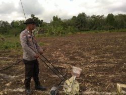Dukung Program 1 Hektar 1 Desa, Polsek Muara Kuang Turut Serta Tanam Jagung di Tanabang Ilir