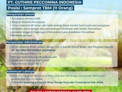 Sinergi Muba Maju Lebih Cepat, Duet Toha Tohet dan Kiai Abdur Rohman Husen Pastikan Perusahaan Prioritaskan Tenaga Kerja Lokal     Lowongan Kerja Untuk Lulusan SMP, Ayo segera daftar !!! 