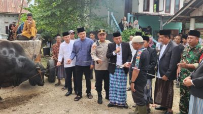Kapolsek Tanjung Raja, Pimpin Langsung PAM Pengamanan Bantuan Sapi Kurban Presiden RI, Untuk Warga Kelurahan Tanjung Raja   