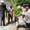 PT Gembala Sriwijaya Hadir dan Berbagi Kebahagiaan Bersama Warga di Hari Raya Idul Adha 1447 H