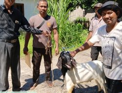 PT Gembala Sriwijaya Hadir dan Berbagi Kebahagiaan Bersama Warga di Hari Raya Idul Adha 1447 H