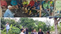 Kasus Dugaan Penyerobotan Tanah Aset Desa Tanjung Lalang Masuki Tahap Penyelidikan