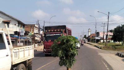 Jalan Raya Palembang-Betung di Simpang Rioseli Pangkalan Balai Amblas Lagi, Warga Tanam Pohon Pepaya sebagai Tanda Bahaya