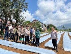 Dukung Program Swasembada Pangan 2026, Kapolres dan Jajaran Tinjau Lahan Bawang Putih