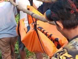 Pencarian Dua Hari Berakhir Duka, Tim Gabungan Muba Temukan Mulyadi Mengapung di Danau Sanawal     *Bupati HM Toha Tohet Sampaikan Belasungkawa*